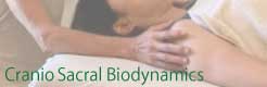 クラニオセイクラル・バイオダイナミクスはこちら